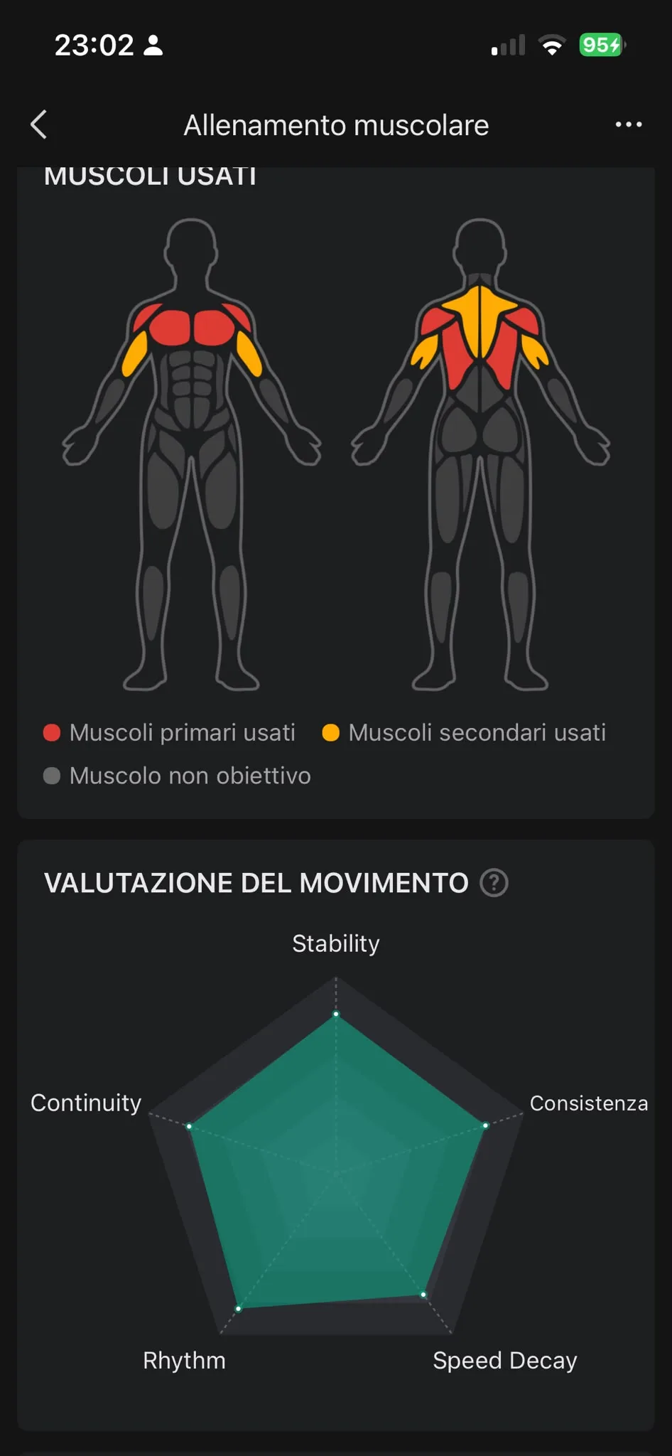 Muscoli usati e radar tecnica Zepp 17 agosto — pettorali primari, deltoidi secondari