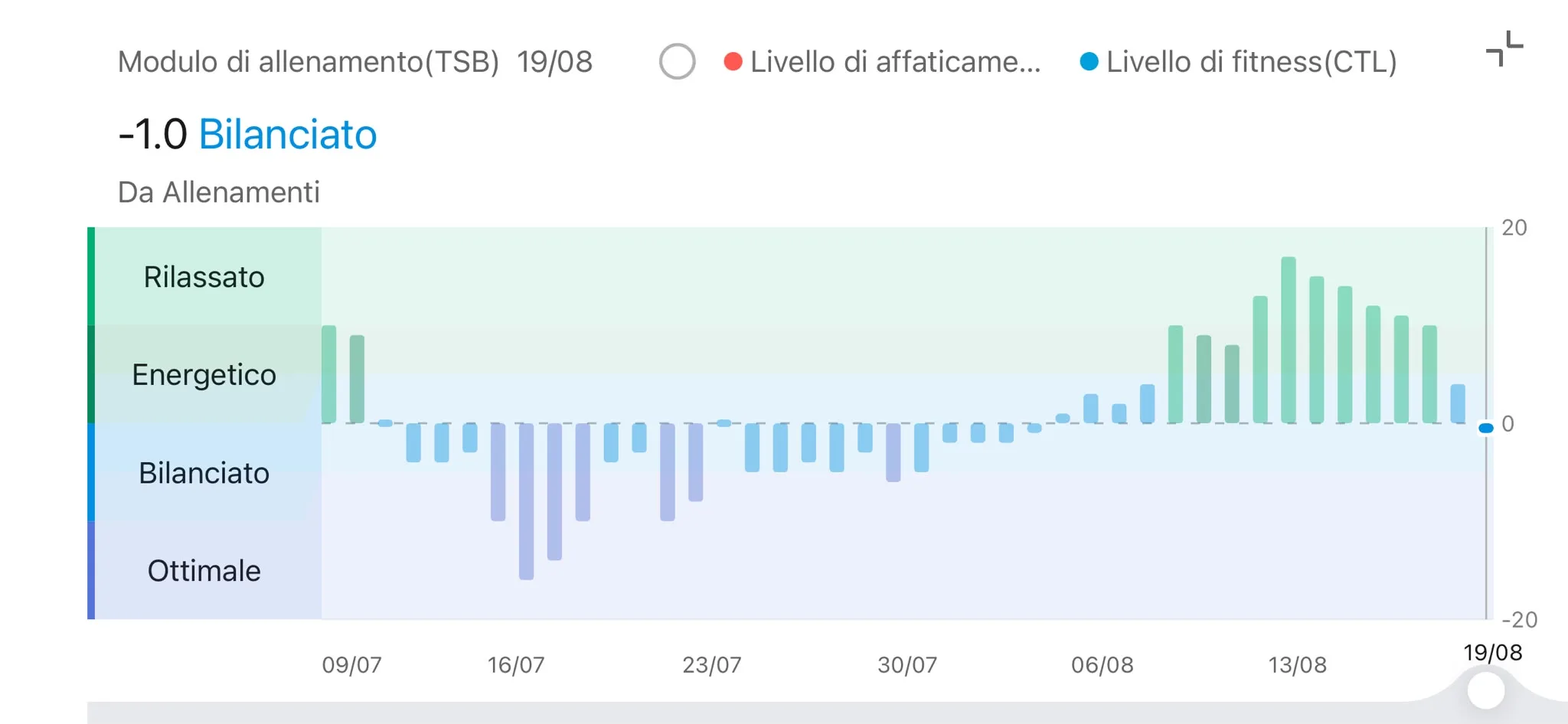 Modulo allenamento TSB Zepp 19 agosto — −1,0 Bilanciato dopo Scheda 2, Gino Capon gambe bicipiti