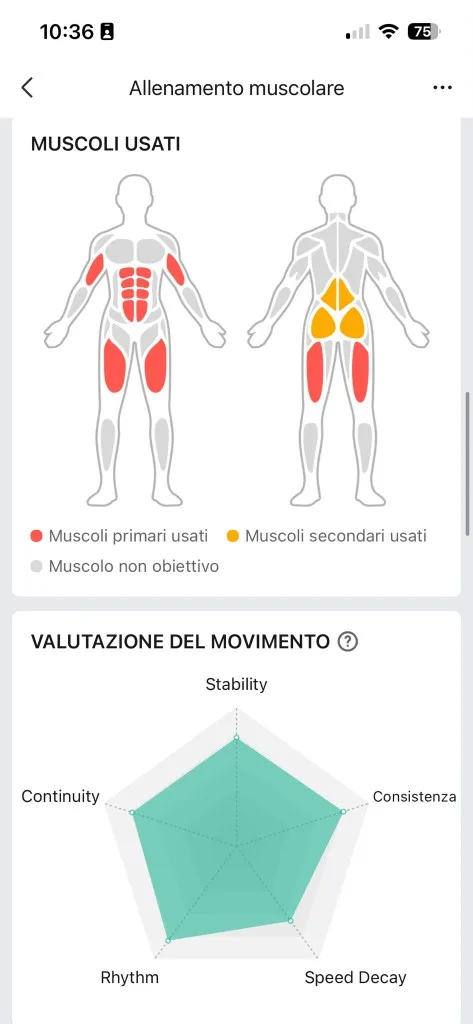 Muscoli usati e radar tecnica Zepp 21 agosto — quadricipiti addome spalle femorali primari, glutei secondari