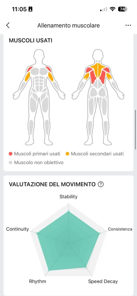 Muscoli usati e radar tecnica Zepp 24 agosto — deltoidi trapezio dorsali primari, tricipiti secondari