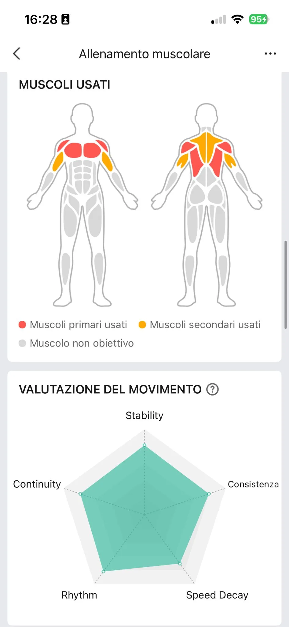 Muscoli usati e radar tecnica Zepp 31 agosto — pettorali dorsali primari