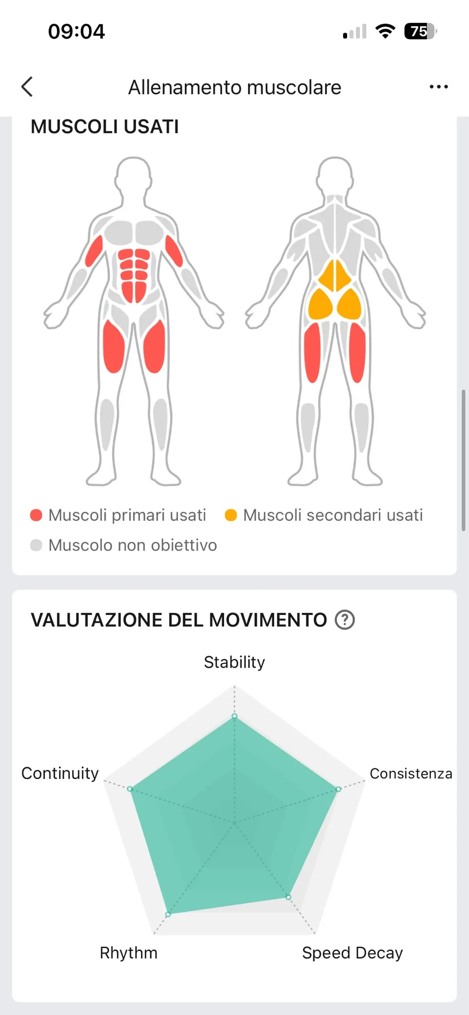 Muscoli e radar tecnica — quad, femorali, addome primari