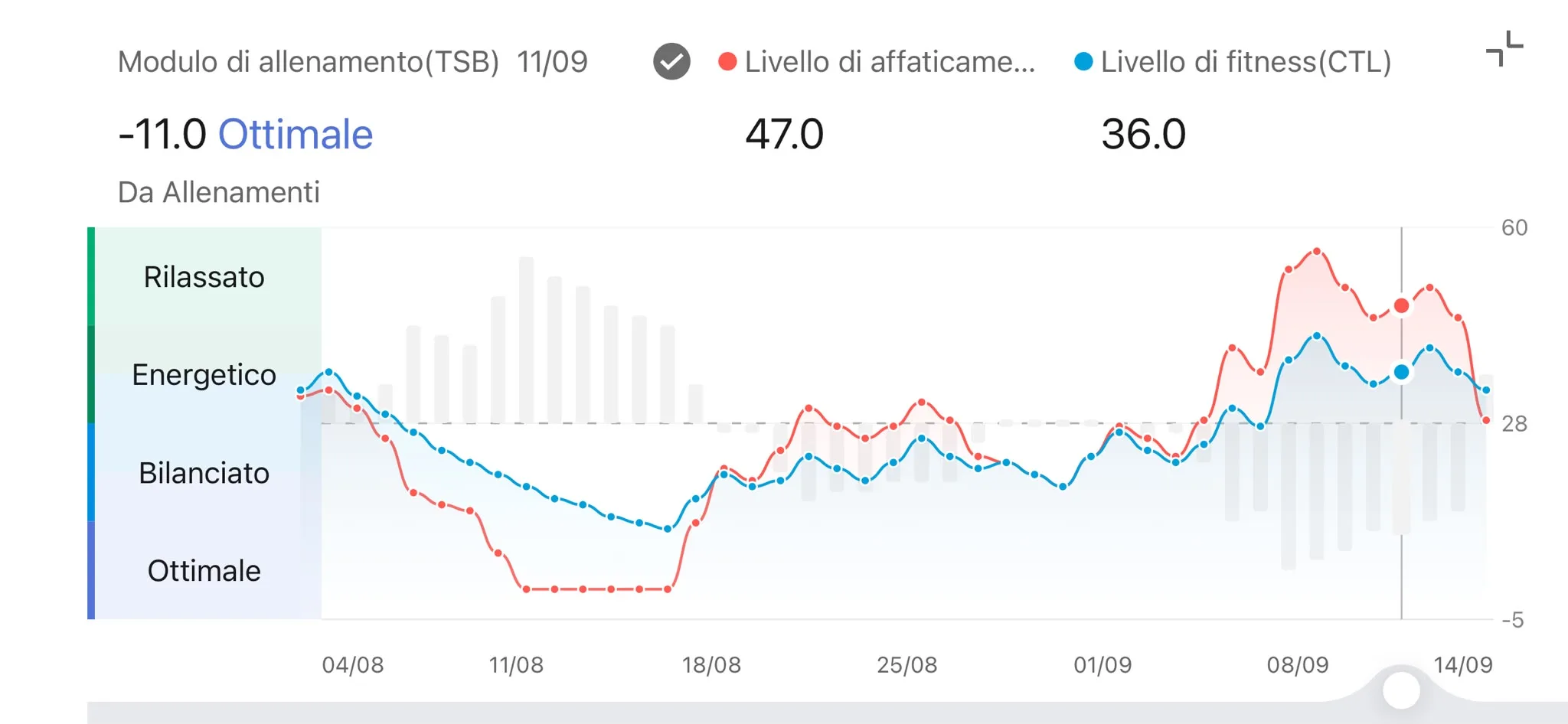 Modulo TSB Zepp — CTL 36 ATL 47 TSB -11 Ottimale, sabato 12 settembre